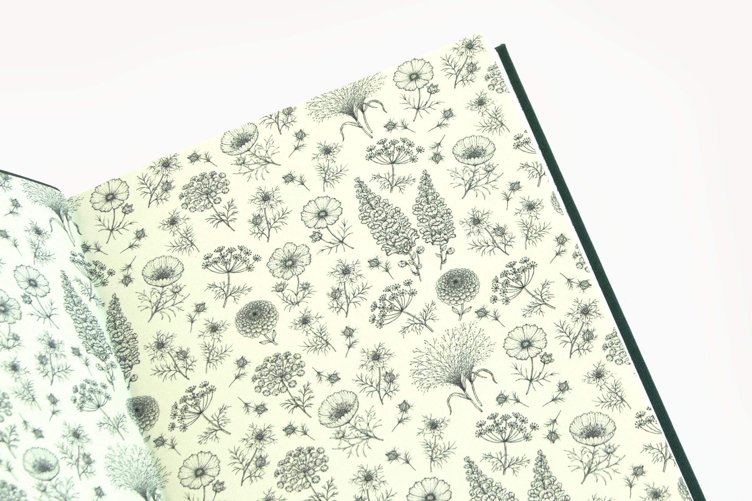 Flower Notes: Über dieses Buch