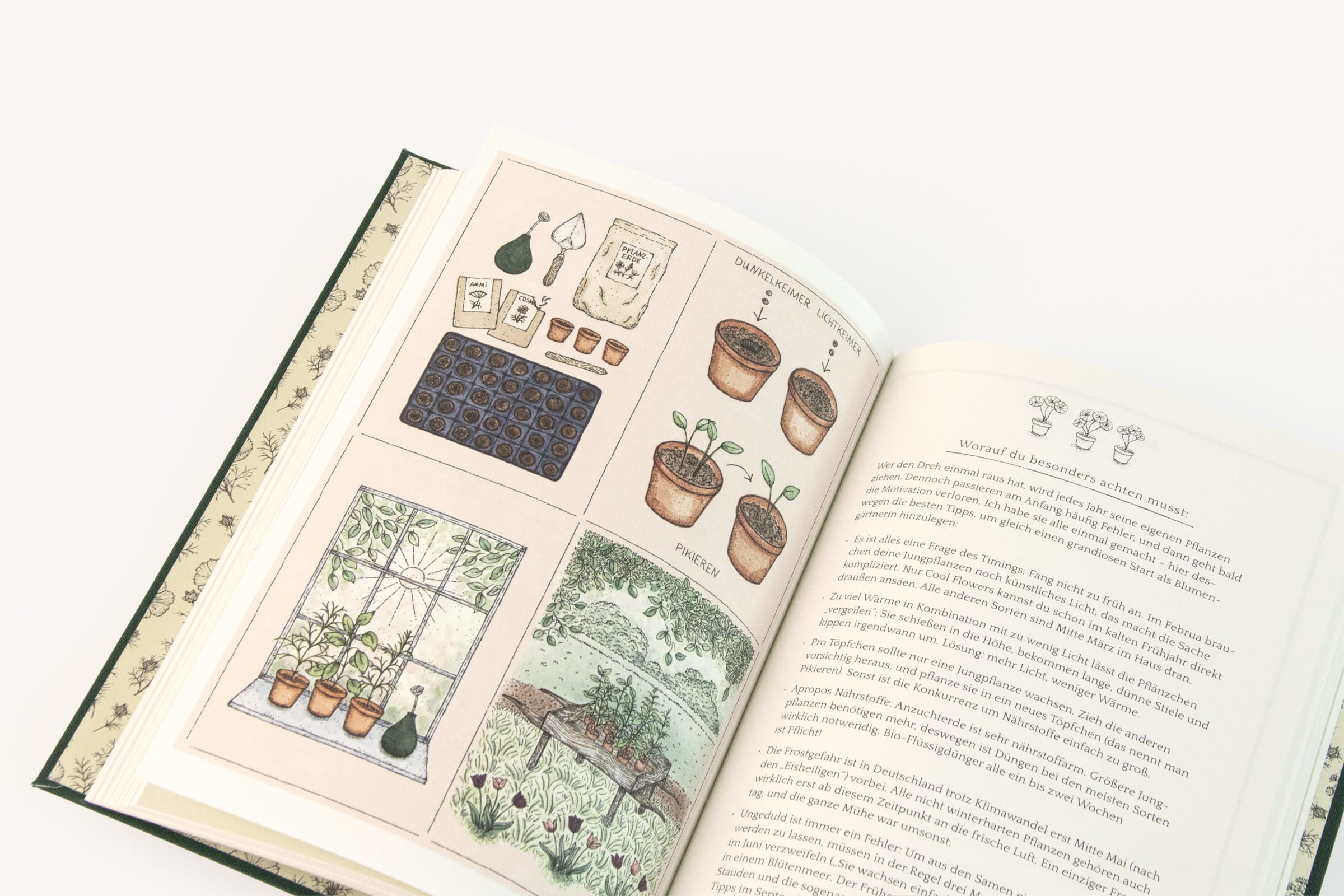 Flower Notes: Über dieses Buch