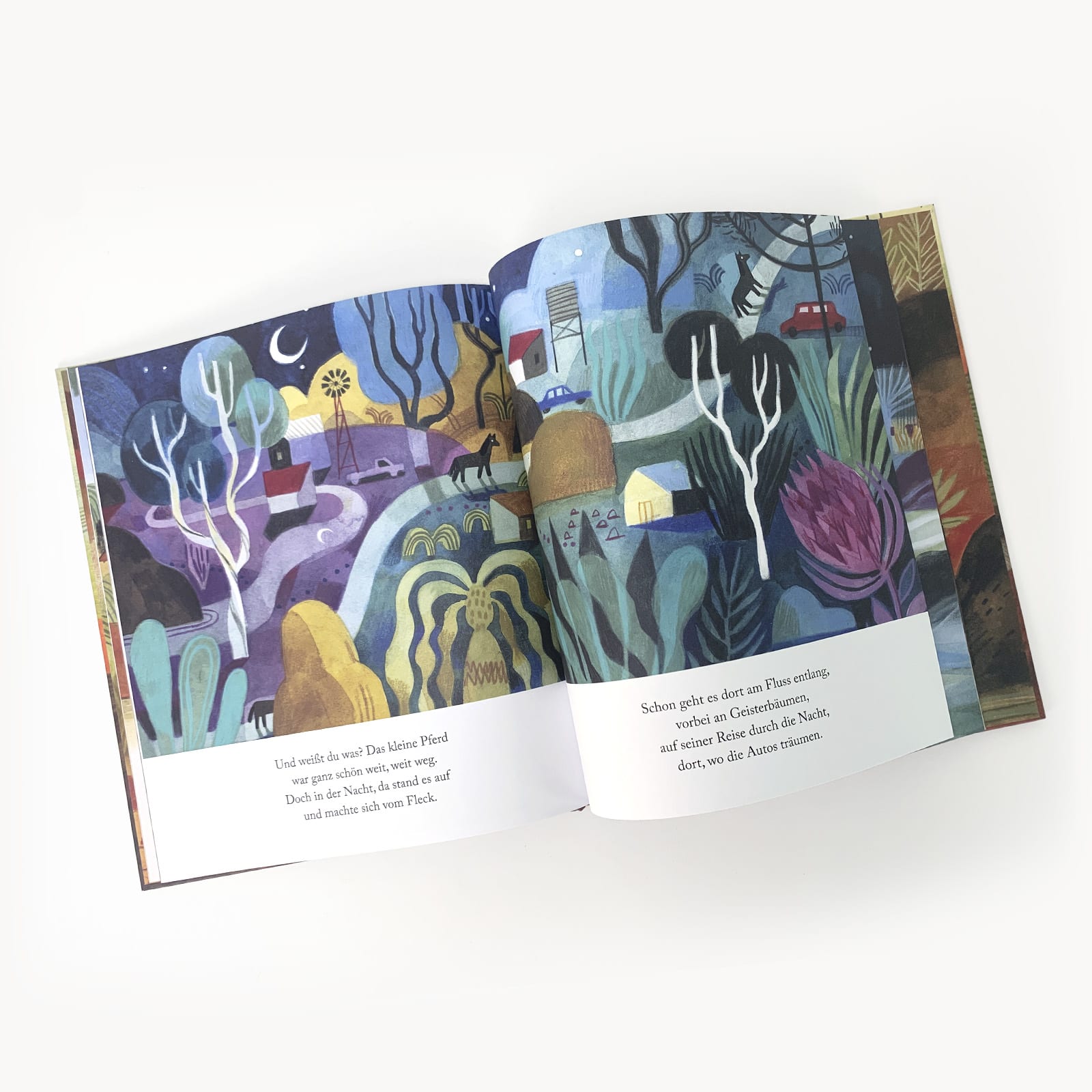 Innenabbildung des Buches »Arno und sein Pferd« von Jane Godwin, illustriert von Felicita Sala