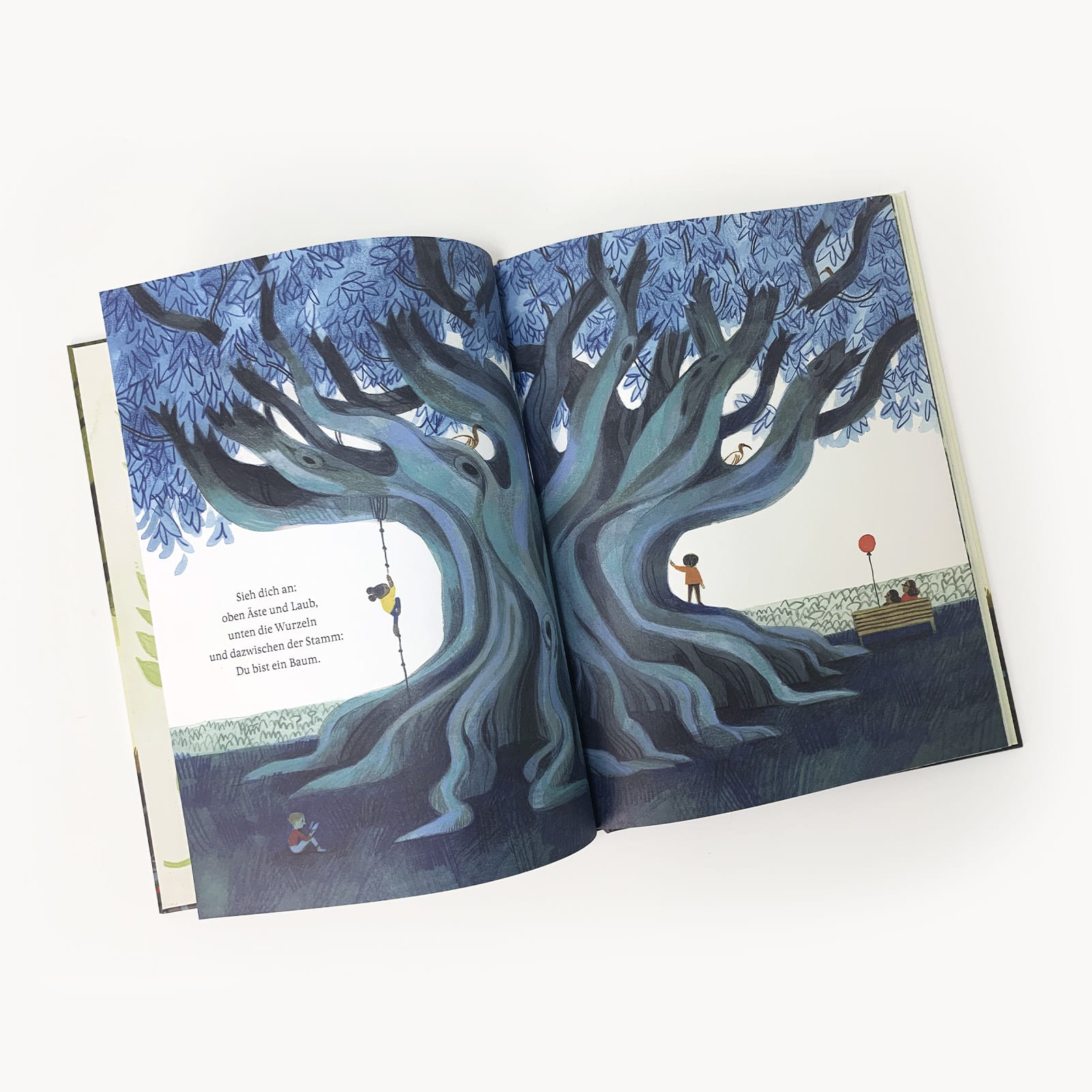 Innenabbildung des Buches »Sei wie ein Baum!« von Maria Gianferrari, illustriert von Felicita Sala