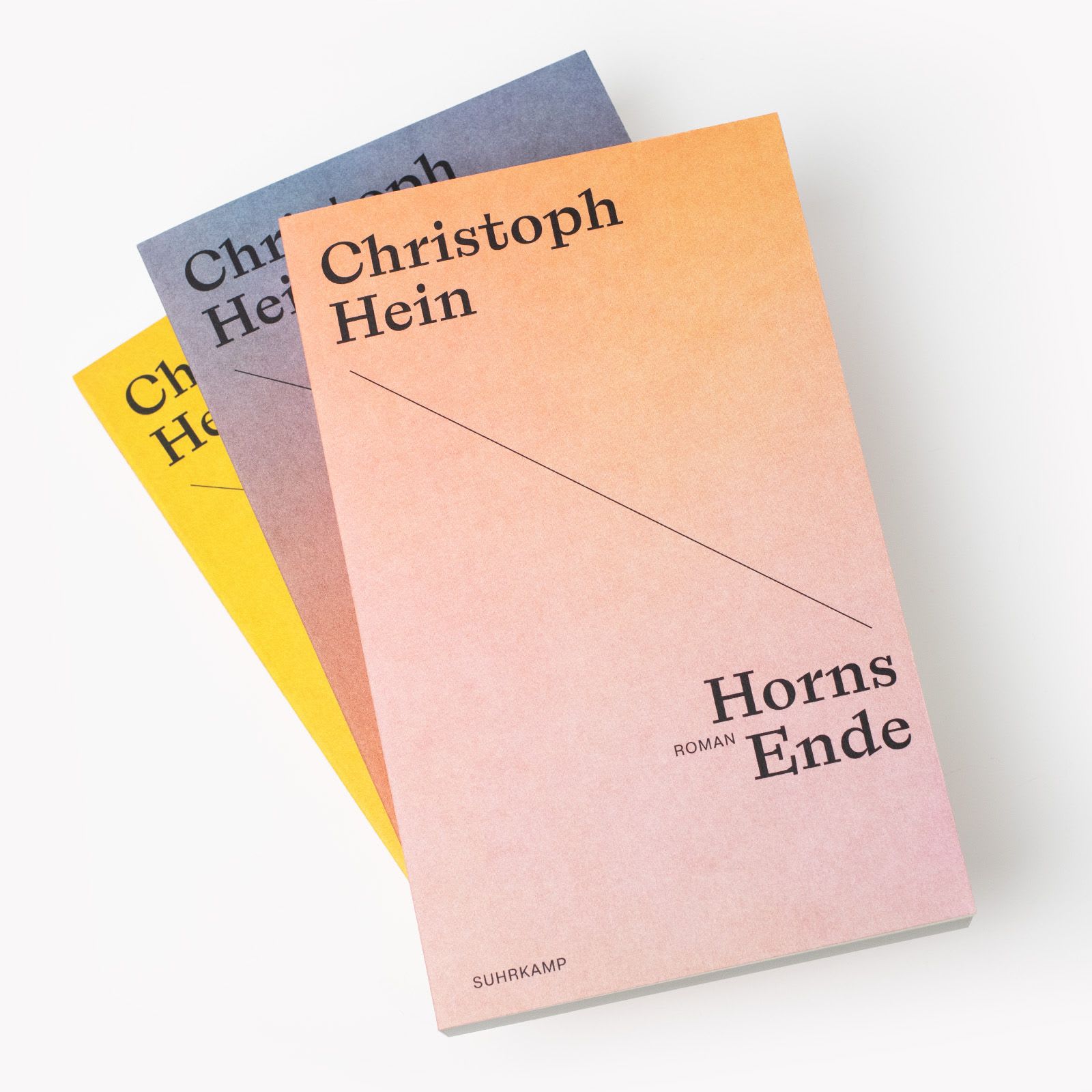 Drei Romane des Autors Christoph Hein liegen aufeinander gestapelt. Oben zu sehen ist der Roman »Horns Ende«.