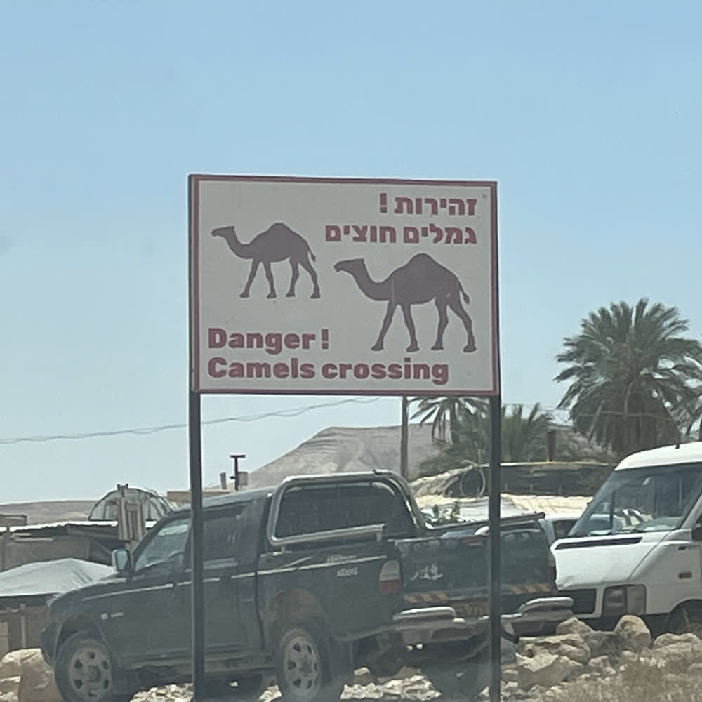 Ein Schild in der Wüste zeigt zwei Kamelfiguren und den Schriftzug "Danger! Camels crossing" auf Englisch und Hebräisch