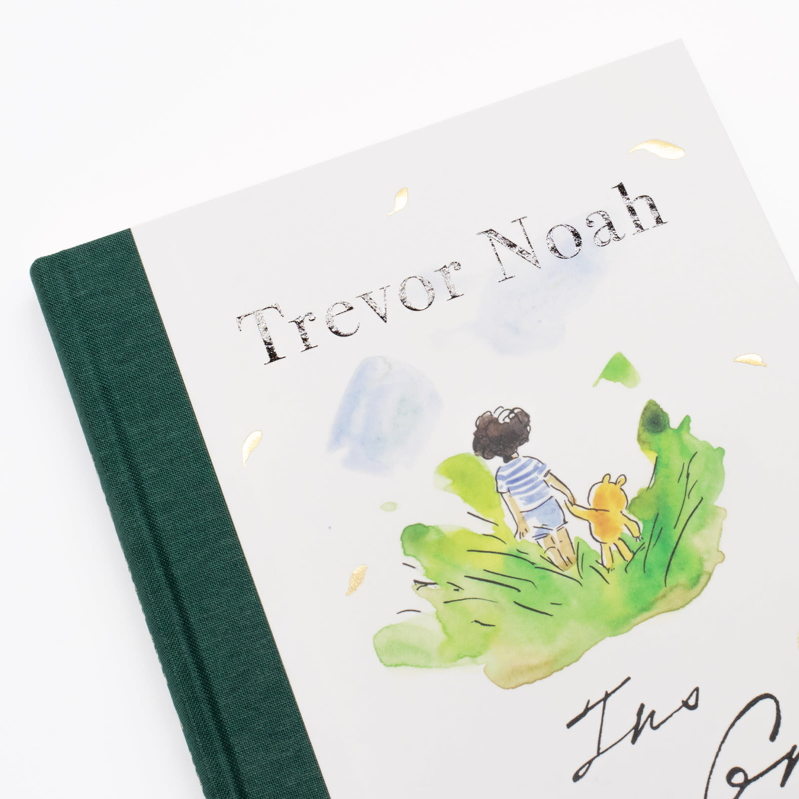 Fotografie des Covers von »Ins hohe Gras«