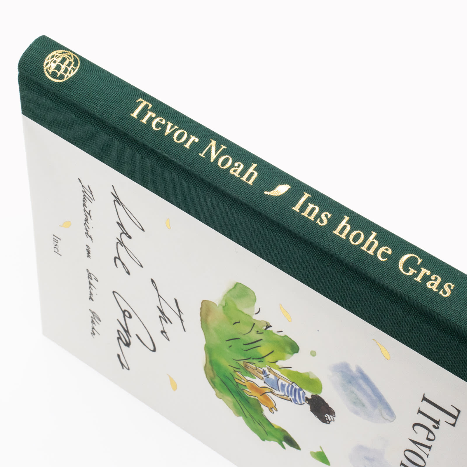 Buchrücken von »Ins hohe Gras«