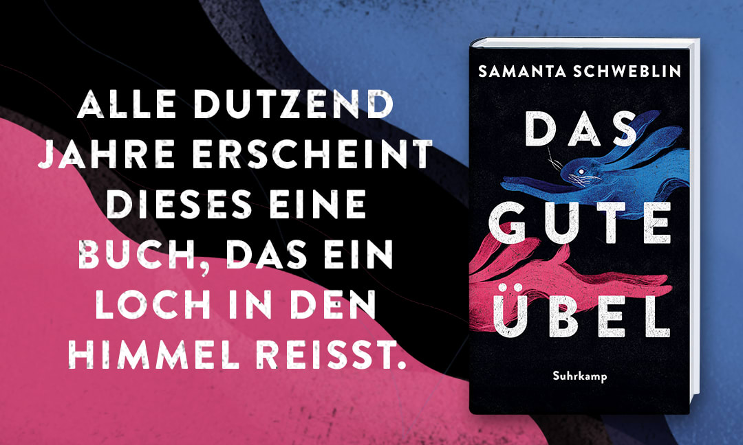 Moodbar Schweblin Das gute Übel