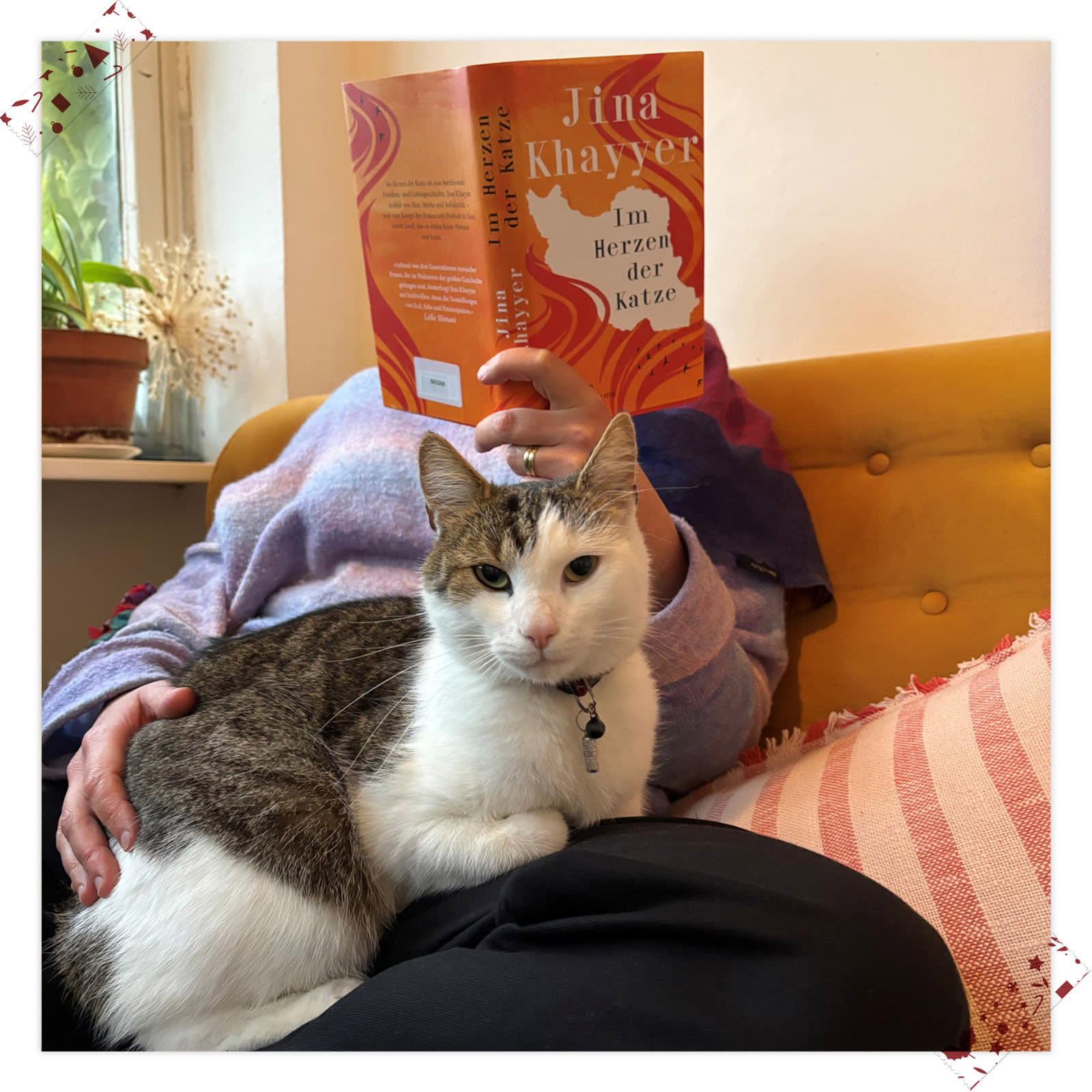  Ruth Feindel (Lektorat Theater Verlag) empfiehlt Jina Khayyer: Im Herzen der Katze 