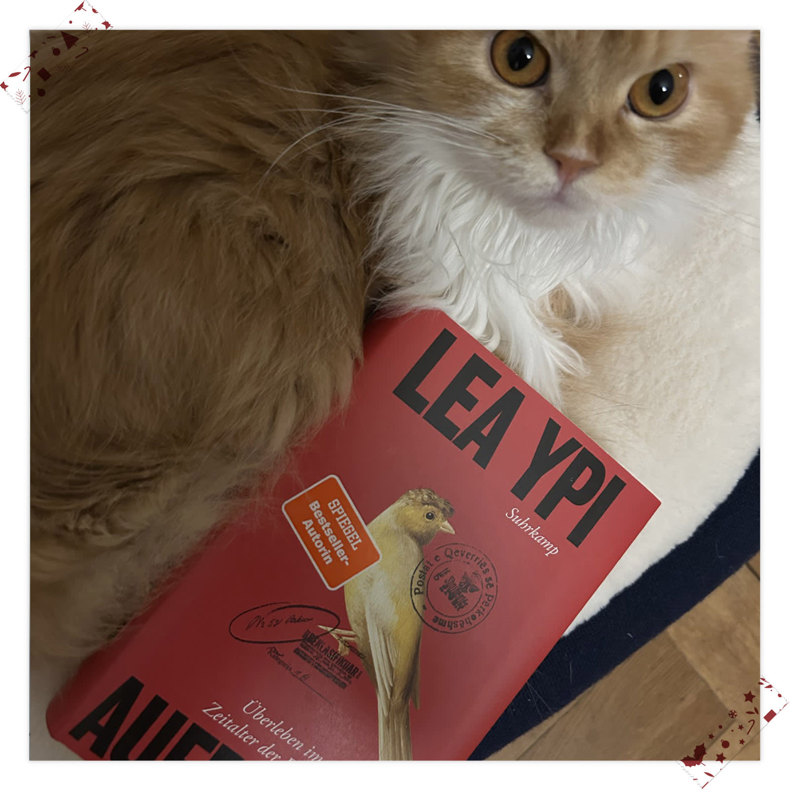 Elisabeth Salzmann (Elisabeth Salzmann Verlag) empfiehlt »Lee Miller – Fotografien«