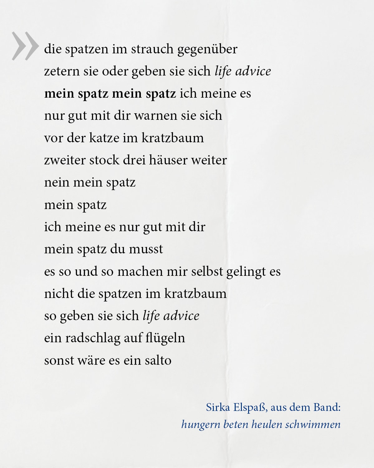 Ein Gedicht von Sirka Elspaß