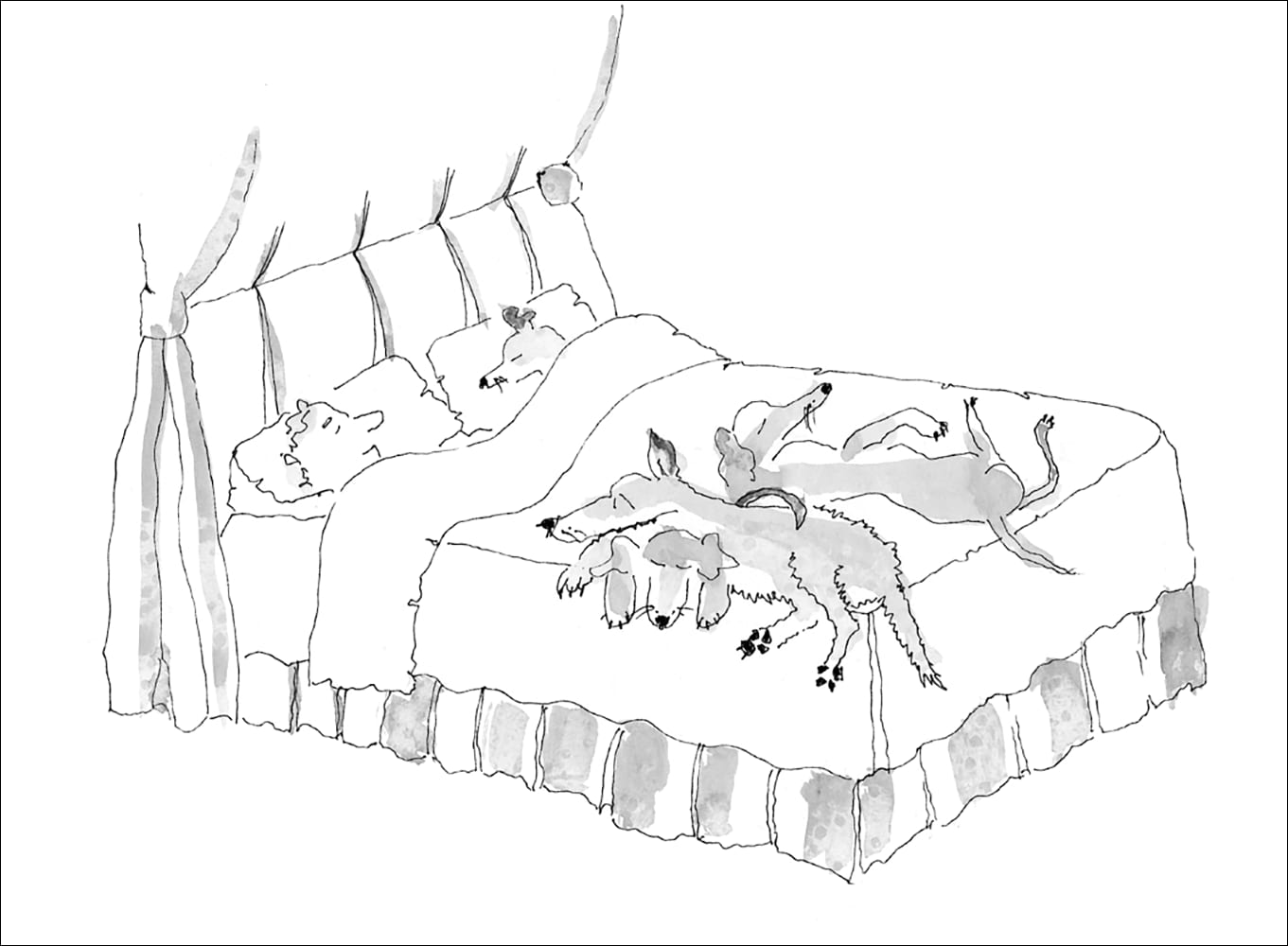 Illustration von Sally Ann Lasson aus »Penny, Prince und Ginny« von Brian Sewell