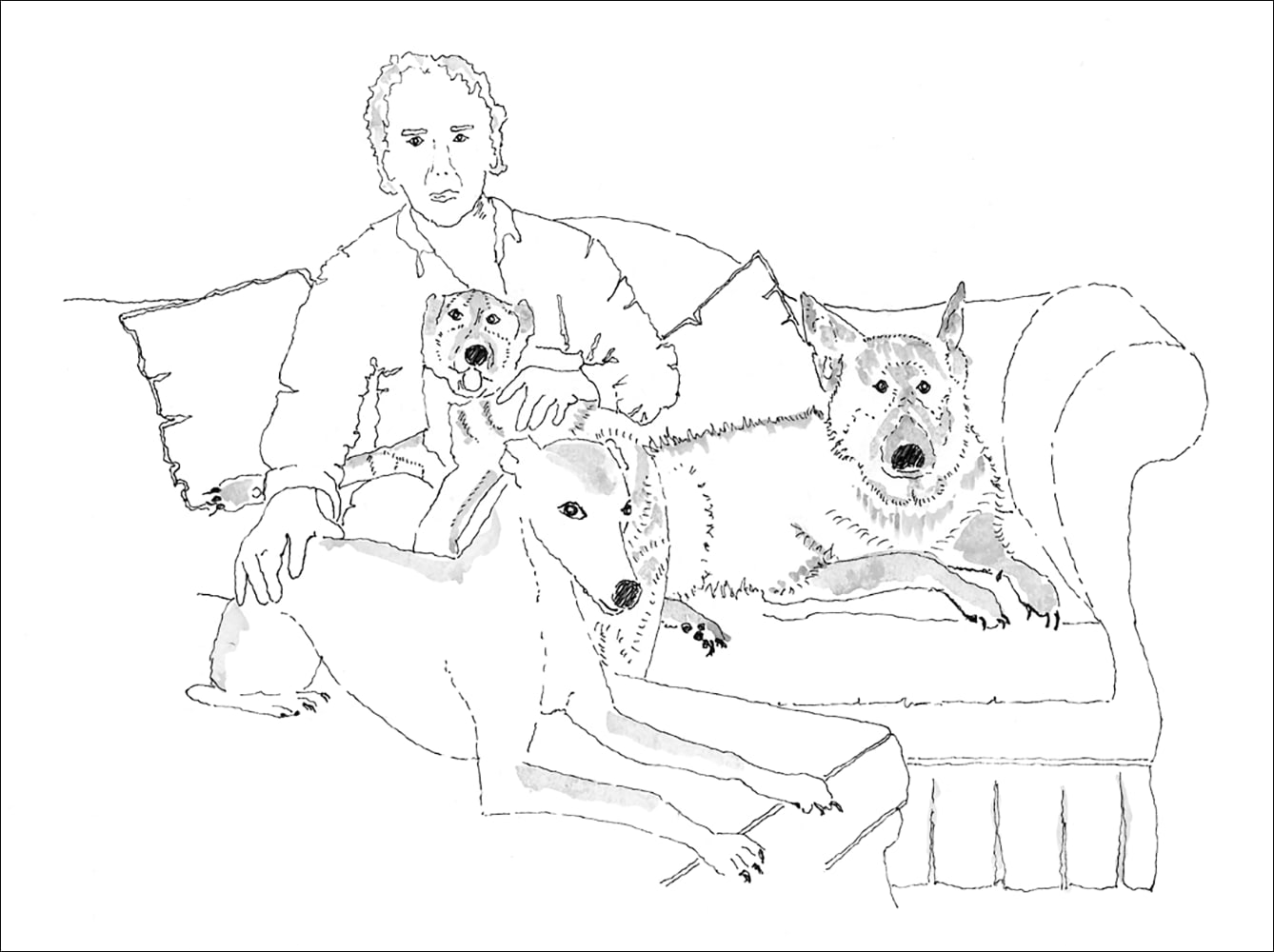 Illustration von Sally Ann Lasson aus »Penny, Prince und Ginny« von Brian Sewell