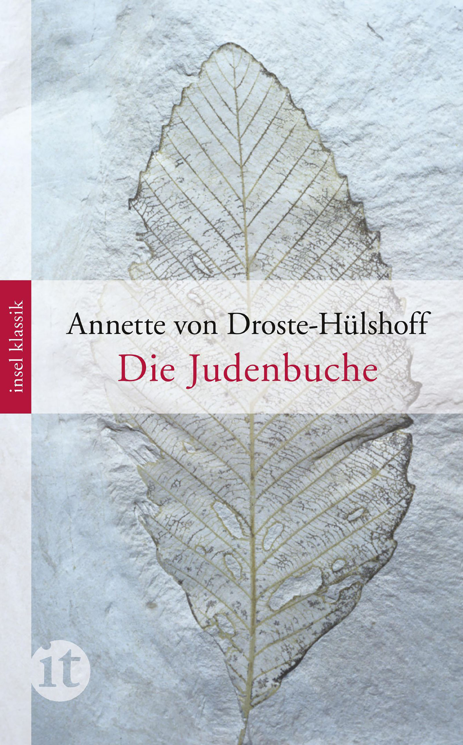 Buchcover von Die Judenbuche