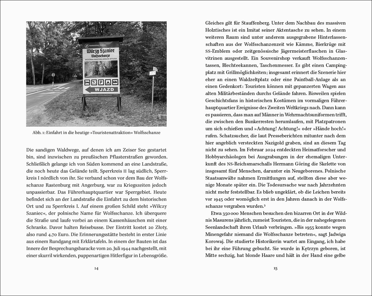 Felix Bohr: Before the Downfall (Vor dem Untergang, Suhrkamp