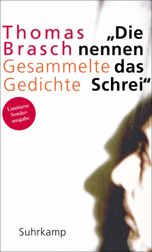 »They Call it Scream«