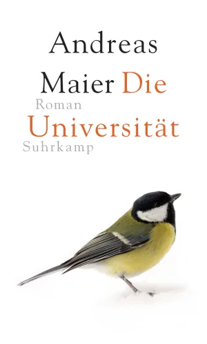 The University