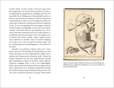 innenabbildung zu Goethe's Elephants