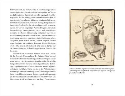 innenabbildung zu Goethes Elefanten