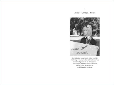 innenabbildung zu My Lithuanian Driving License