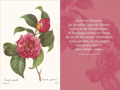 innenabbildung zu Die Blumen der Frauen