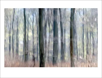 innenabbildung zu Das Waldbuch