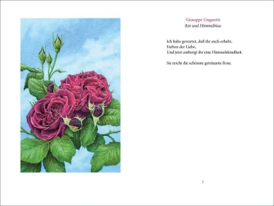 innenabbildung zu »Ich wollt' dein Bett mit einer Rose schmücken«