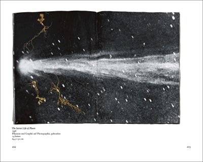innenabbildung zu »Wisdom is the art of remaining faithful under shifting circumstances«