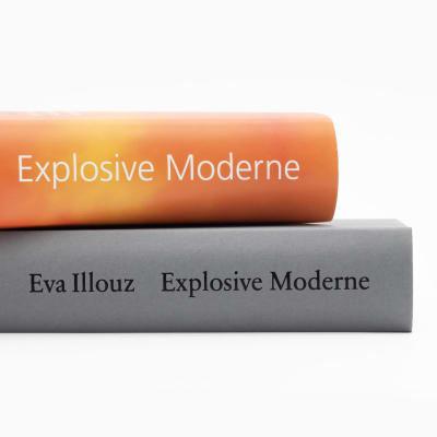 produktfoto zu Explosive Modernity