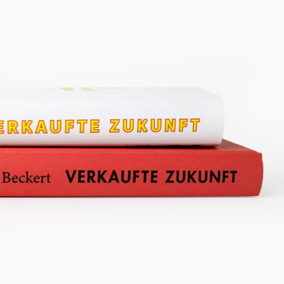 produktfoto zu How We Sold Our Future