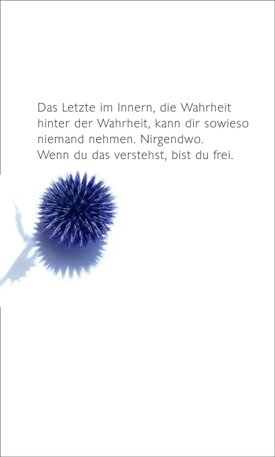 u4 zu Museum der Einsamkeit (Signiertes Exemplar)