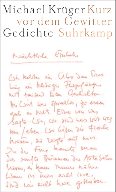 U1 zu Kurz vor dem Gewitter