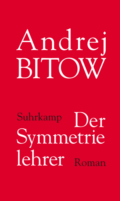 U1 zu Der Symmetrielehrer