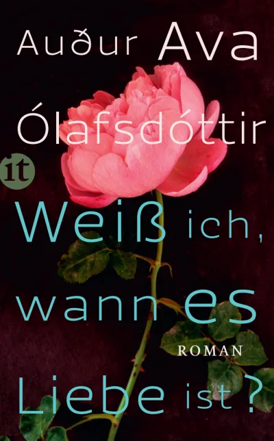 U1 zu Weiß ich, wann es Liebe ist?