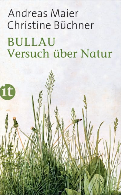 U1 for Bullau