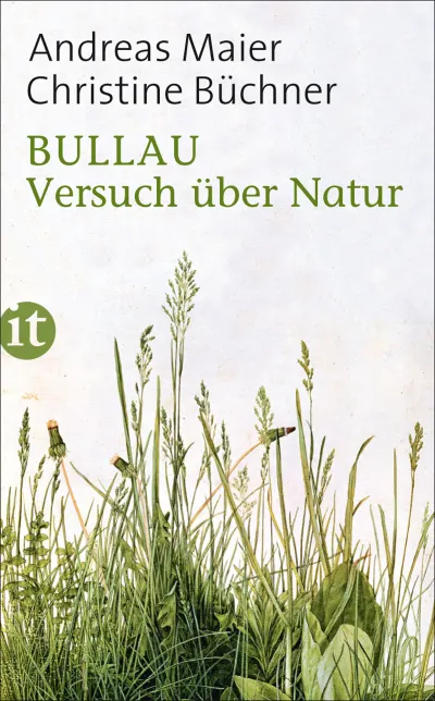 U1 zu Bullau