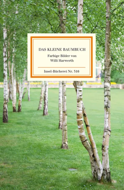 U1 zu Das kleine Baumbuch
