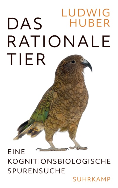 U1 for The Rational Animal