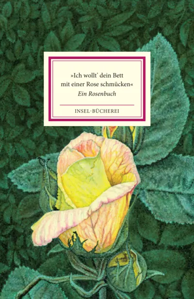 U1 zu »Ich wollt' dein Bett mit einer Rose schmücken«