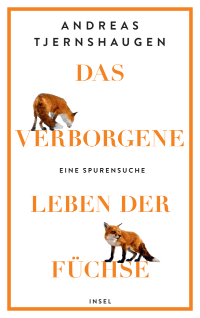 U1 zu Das verborgene Leben der Füchse