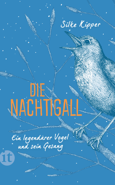 U1 zu Die Nachtigall
