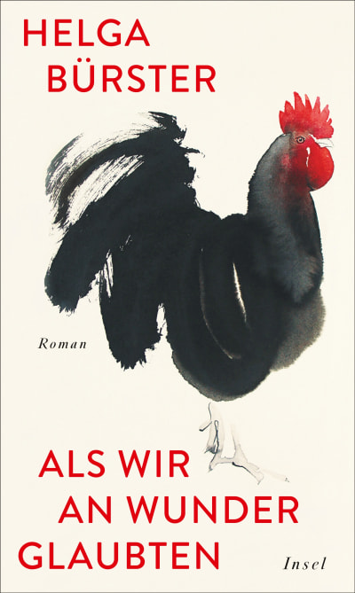 U1 zu Als wir an Wunder glaubten