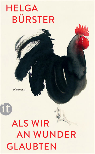 U1 zu Als wir an Wunder glaubten