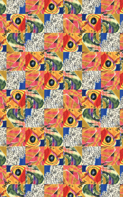 u4 zu Nachtfalter (Signiertes Exemplar)