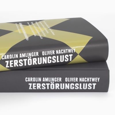 produktfoto zu Destructive Desires
