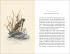 innenabbildung zu Vom Glück des Vogelgesangs