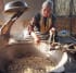 innenabbildung zu The East