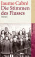 U1 zu Die Stimmen des Flusses
