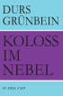 U1 zu Koloß im Nebel