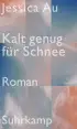 U1 zu Kalt genug für Schnee