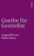 U1 zu Goethe für Gestreßte
