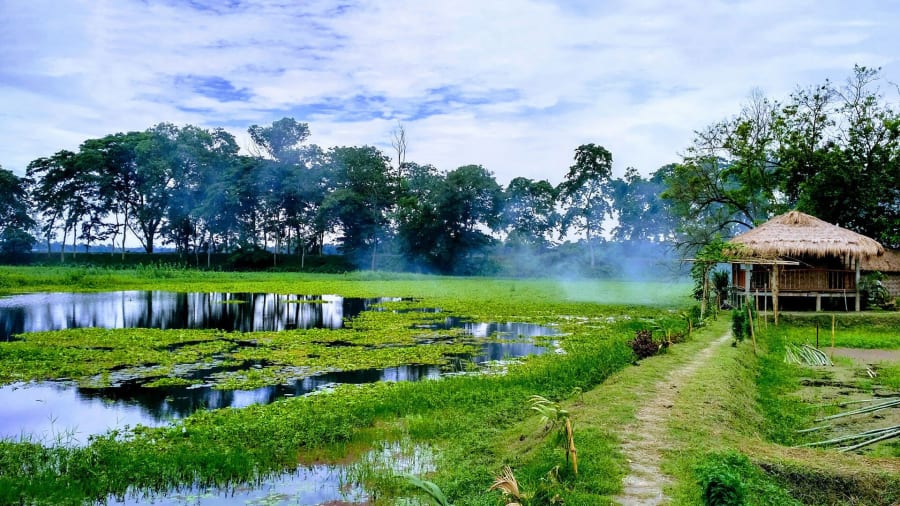 Image 3 of Majuli Island