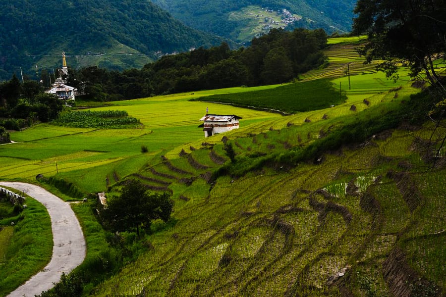 Image 3 of Ziro Valley